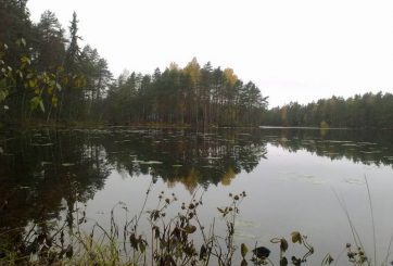 Holma-Saarijärvi i bakgrunden
